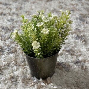 Artificial Greenery in Black Pot
